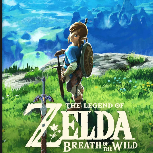 Anime-style character with sword and shield stands on grassy hill, Breath of the Wild poster art