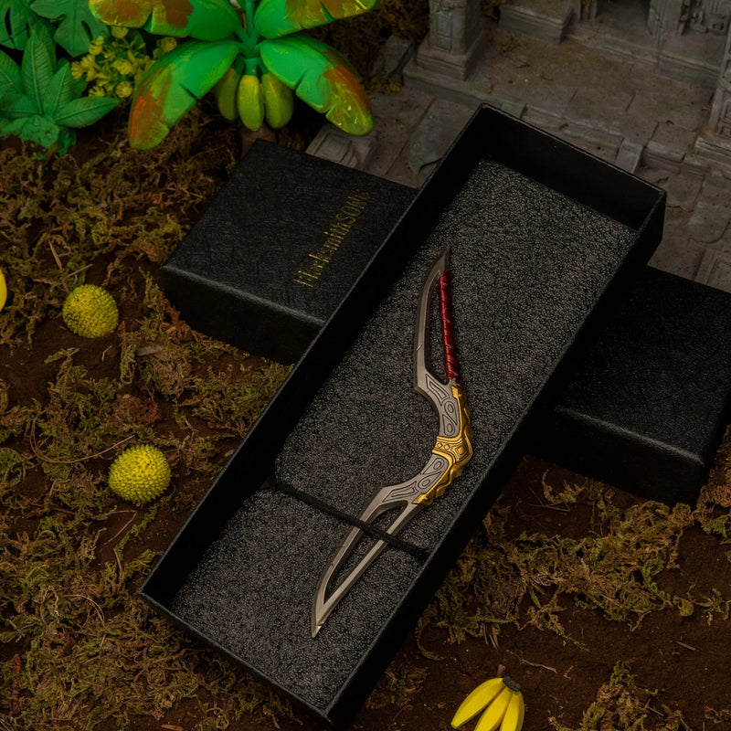 Giant Boomerang replica — in its foam-lined gift box.